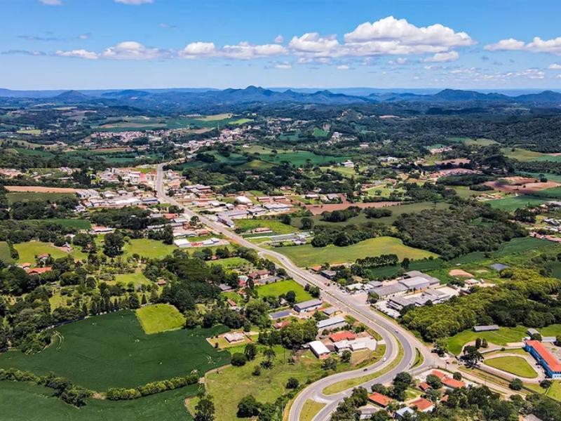 Campo magro