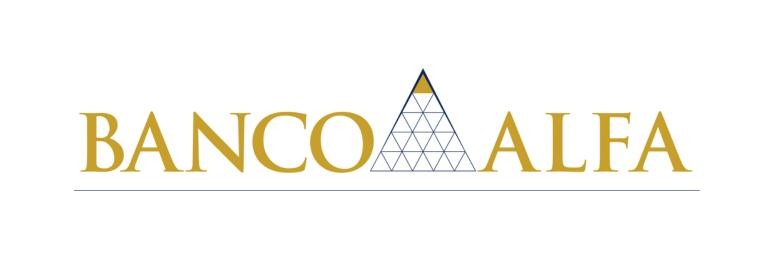 Logotipo de cliente Netsupport