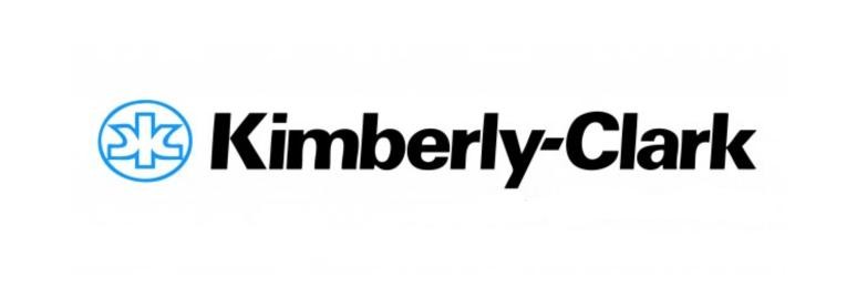 Logotipo de cliente Netsupport